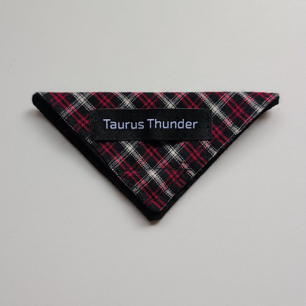 Black & Red Plaid Magnet Bookmark