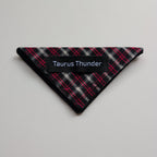 Black & Red Plaid Magnet Bookmark