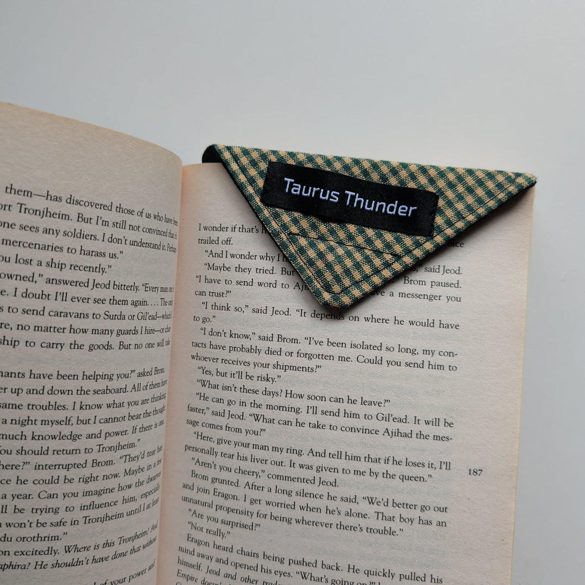 Green Gingham Magnet Bookmark
